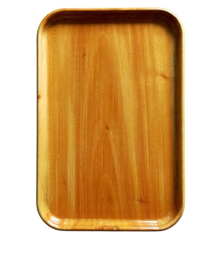Large Tray